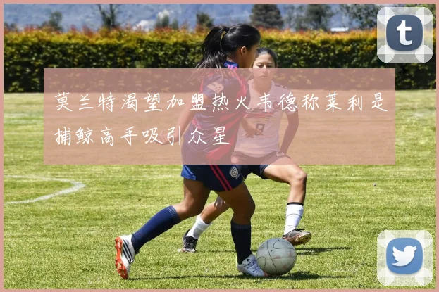 莫兰特渴望加盟热火韦德称莱利是捕鲸高手吸引众星